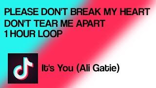 Please dont break my heart dont tear me apart TikTok song 1 Hour Loop Ali Gatie  Its You [upl. by Darraj]