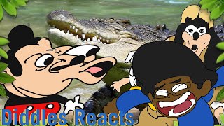 Diddles Reacts  Mokeys Show  427  Crocodile [upl. by Wetzel176]