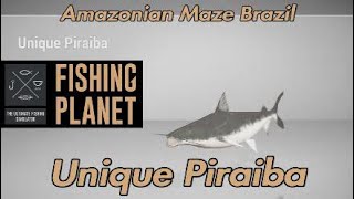 Unique Piraiba  Amazonian Maze Brazil  Fishing Planet Guide [upl. by Riancho715]