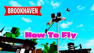 Roblox Brookhaven 🏡RP SPACEX ROCKET HOUSE SAFE LOCATION New Hidden Safe [upl. by Samaj375]