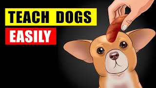 Easy Things to Teach Your Dog [upl. by Ashwin581]