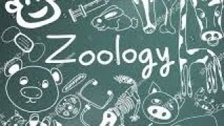 lecture 1 part 2 zoology cell structure and organelles [upl. by Cory]