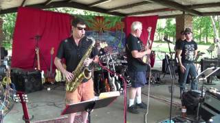 Spooky  Classics IV  Neighborhood Picnic Band 2015 [upl. by Joscelin339]