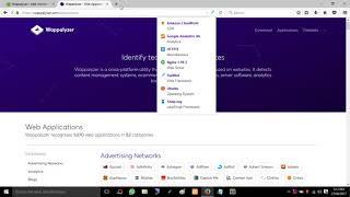 How to use wappalyzer in web browser [upl. by Silloc]