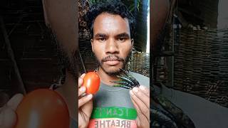 tomato spicy mirchi ka nashta 😭😭🥵🥵 viralvideo jayagaribeating [upl. by Drawoh265]