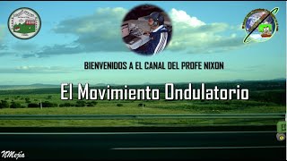 Movimiento Ondulatorio [upl. by Assirac]