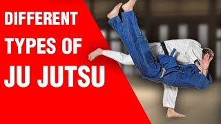 Different Types of Ju Jutsu  ART OF ONE DOJO [upl. by Nhguavad]