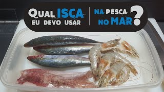 Melhores iscas para pesca no mar [upl. by Clay]