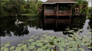 DIY  Belize Lagoon Fishing December 2023 [upl. by Laurie]