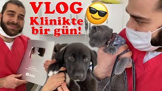 VLOG  100BİN ABONE PLAKETİMİZ GELDİ Veteriner Kliniğinde Bir Gün Nasıl Geçiyor TheVet [upl. by Henig]