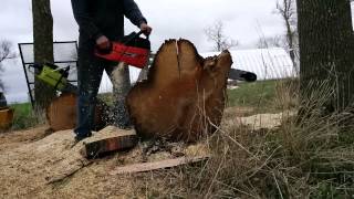 Sachs Dolmar 166 chainsaw [upl. by Oliric]