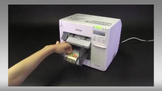 Epson ColorWorks C3500  Borderless Printing [upl. by Arednaxela]