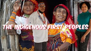 The Indigenous First Peoples of Trinidad  Trinidad Youtuber [upl. by Rajewski887]