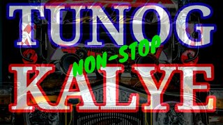 TUNOG KALYE nonstop remix [upl. by Haddad]