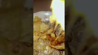 Cheeze lazania pasta shortvideo food [upl. by Omissam]