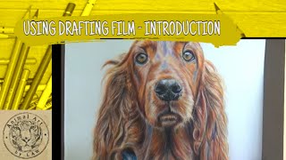 Introduction to using Drafting Film [upl. by Henryson657]