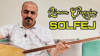 Limon Çiçeğim  SOLFEJ [upl. by Enixam]