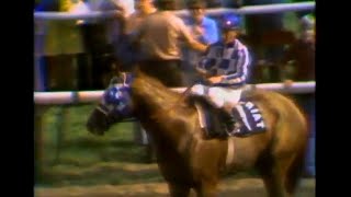 Secretariat at Arlington Park 1973 [upl. by Wendelin682]