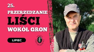 Cięcie zielone  przerzedzanie liści wokół gron [upl. by Keily]