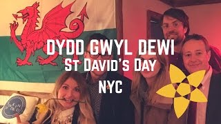 Dydd Gwyl Dewi  St Davids Day [upl. by Hars]