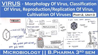 Virus Morphology of Virus  Classification of Virus  Replication of Virus  Cultivation of Viruses [upl. by Porche]