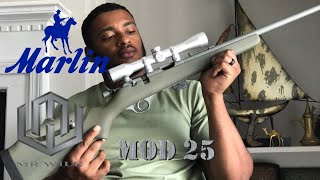 MarlinGlenfield Mod 25 Detailed Gun Collection Review The 22 bolt action [upl. by Eirallih]