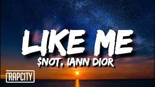 NOT  Like Me Lyrics ft iann dior [upl. by Deys897]