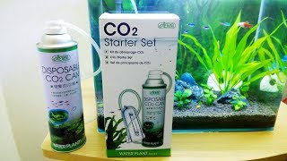 Ista CO2 Starter Set Review  Cheap CO2 Diffuser kit [upl. by Allisirp]