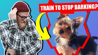 How To Stop Your YORKSHIRE TERRIER Barking [upl. by Adiarf199]