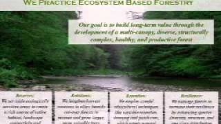 Monetizing forest ecosystem services [upl. by Siradal]