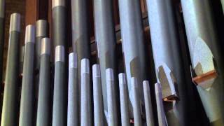 Holtkamp Pipe Organ Trinity Lutheran Church Moorhead MN [upl. by Jabin]