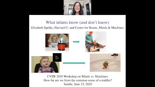 Elizabeth Spelke  What infants know and dont know [upl. by Tikna]