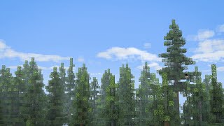 Minecraft Hermitcraft  Bdubs Forest [upl. by Roscoe771]