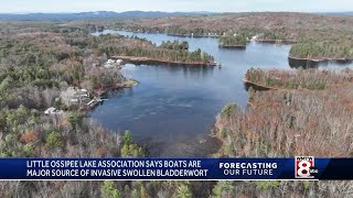 Lake Association takes steps to protect Little Ossipee Lake in Waterboro [upl. by Anyrb]