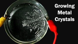 How to grow Tin Crystals [upl. by Bolte]