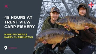 Carp Fishing at Trent View Fishery Mark Pitchers amp Harry Charrington [upl. by Yadseut]