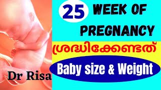 Pregnancy Week By Week Malayalam  25 Weeks Pregnant [upl. by Ehsrop753]