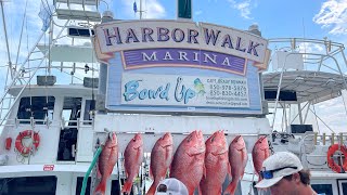 Deep sea fishing trip in Destin Florida on BOW’D UP CHARTER ￼ [upl. by Ylatfen]