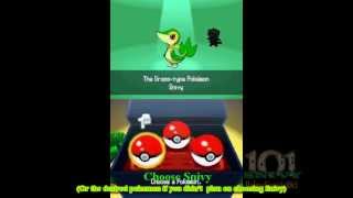 How To Obtain A Female Snivy in Pokemon Black [upl. by Dnalel]