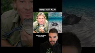 They did WHAT with the footage of Steve Irwin’s death morbidfacts shorts [upl. by Jori685]