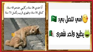 نكت جزائرية مضحكة جدا 🤣😂 blagues Instagram funny jokes funny vidéos [upl. by Ialda524]