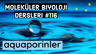 Moleküler Biyoloji Dersleri  Aquaporinler [upl. by Prouty]