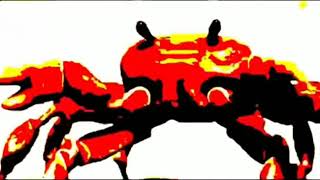 Crab rave earrape 1 hour edition [upl. by Aneram]