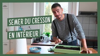 Comment cultiver du cresson alénois en intérieur [upl. by Atikihs]