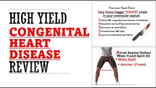 Congenital Heart Disease Review  Mnemonics And Proven Ways To Memorize for your exams [upl. by Garaway]