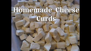 How to Make Cheddar Cheese Curds [upl. by Salhcin]