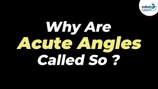 Why are Acute Angles called so  One Minute Bites  Don’t Memorise [upl. by Eehsar119]