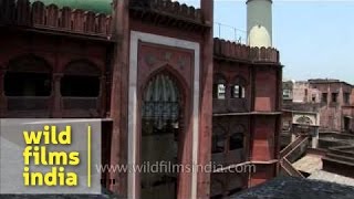 Nakhoda Mosque in Kolkata [upl. by Ronoel570]