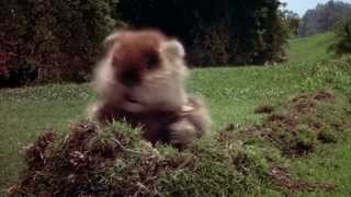 Caddyshack  Gopher Mambo [upl. by Ojok]