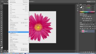 How to Define Brush in Photoshop CS6 [upl. by Dorweiler]